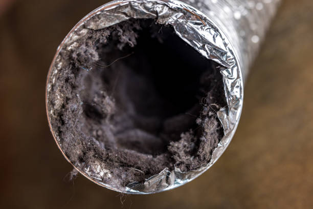 Best HVAC System Cleaning  in Euclid, OH