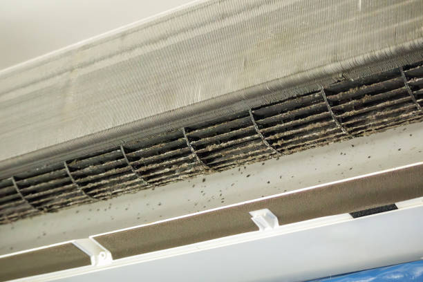 Best HVAC Duct Inspection Services  in Euclid, OH